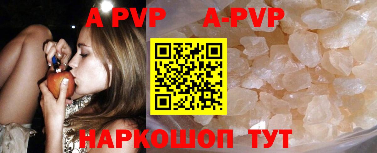 Alfa_PVP СК КРИС Гусев