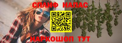 ПСИЛОЦИБИНОВЫЕ ГРИБЫ Краснодар